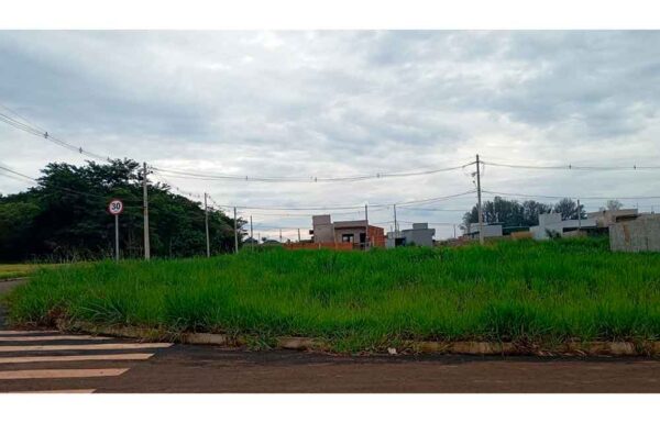 terreno